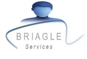 Briagle Logo